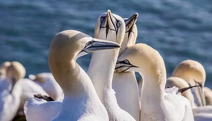 爱游戏app下载-电竞战队管理内幕：如何打造一支冠军队伍的秘密武器，电竞战队人员构成