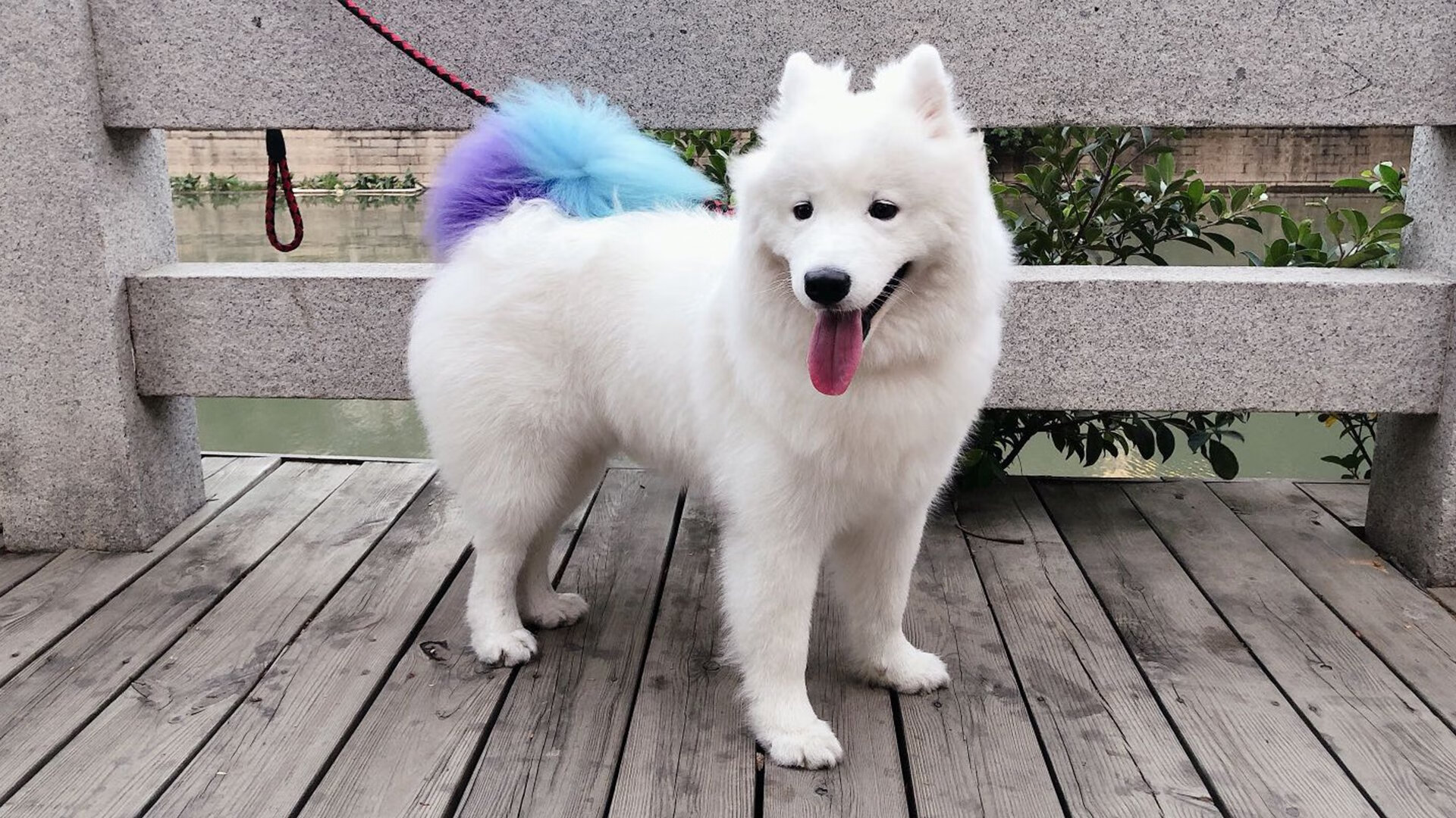 爱游戏app-埃弗顿终于止颓，获得宝贵三分，埃弗顿吧 百度贴吧