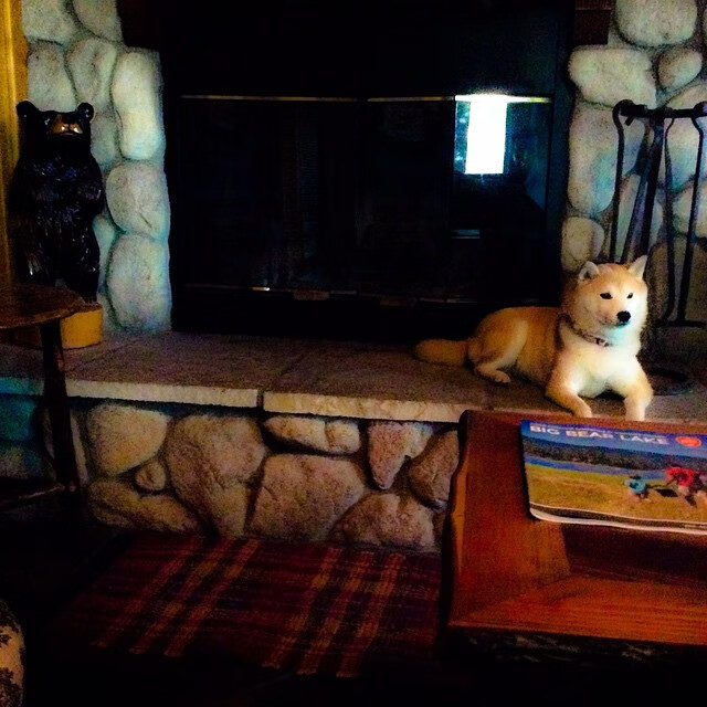 爱游戏体育APP下载-巴萨控球再创新高，蚕食防线逐步得手，巴萨传控进球