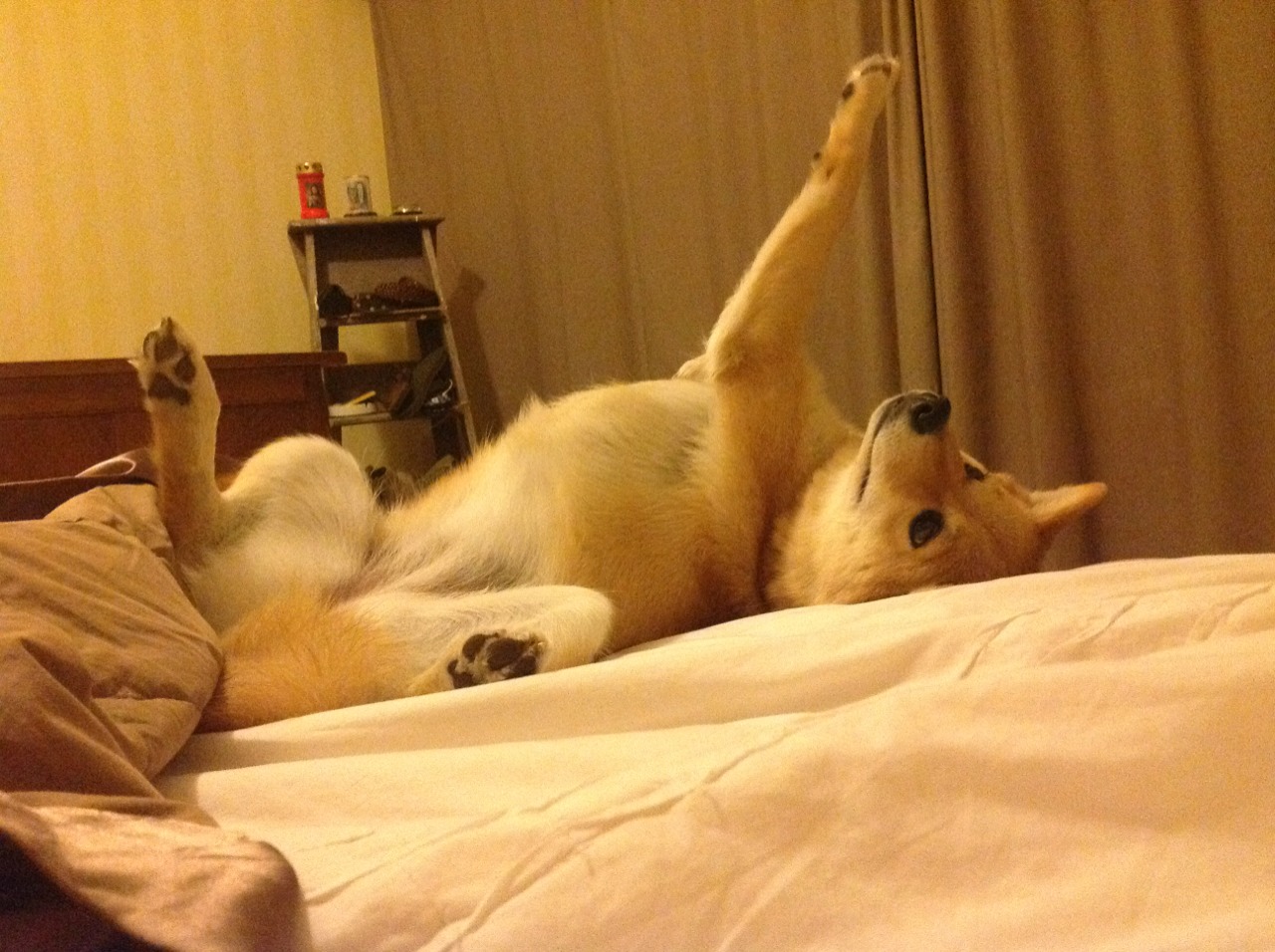 爱游戏体育（AYX）官方APP下载-王者荣耀年度冠军赛总决赛即将开幕，万人直播热度持续升高，王者荣耀冠军杯总决赛时间