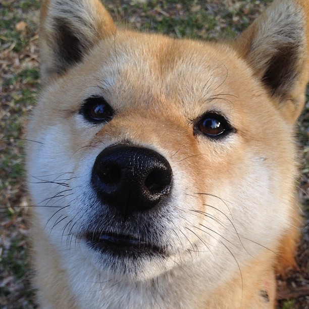 特色篮球节在各地热烈举行,激发青少年运动热情,青少年篮球宣传文案