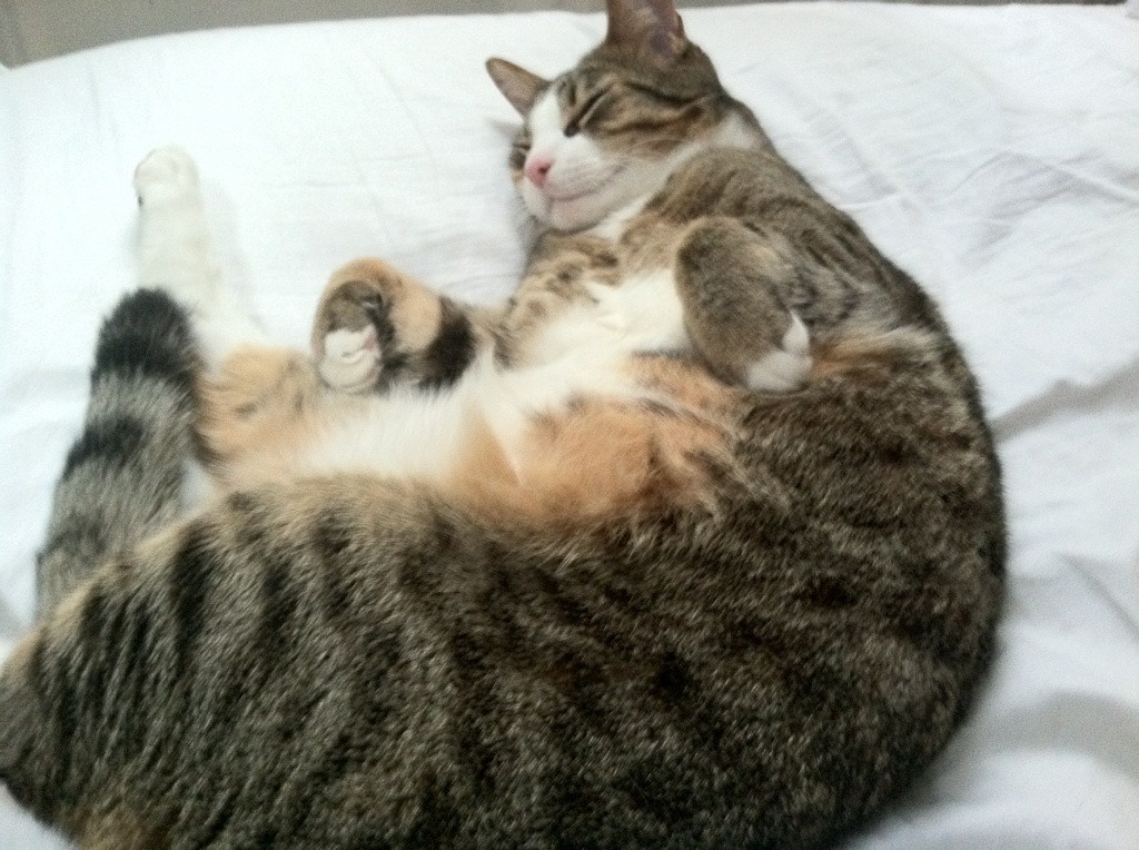 科比:用“曼巴精神”激励整个NBA和无数年轻人!,科比讲述曼巴精神