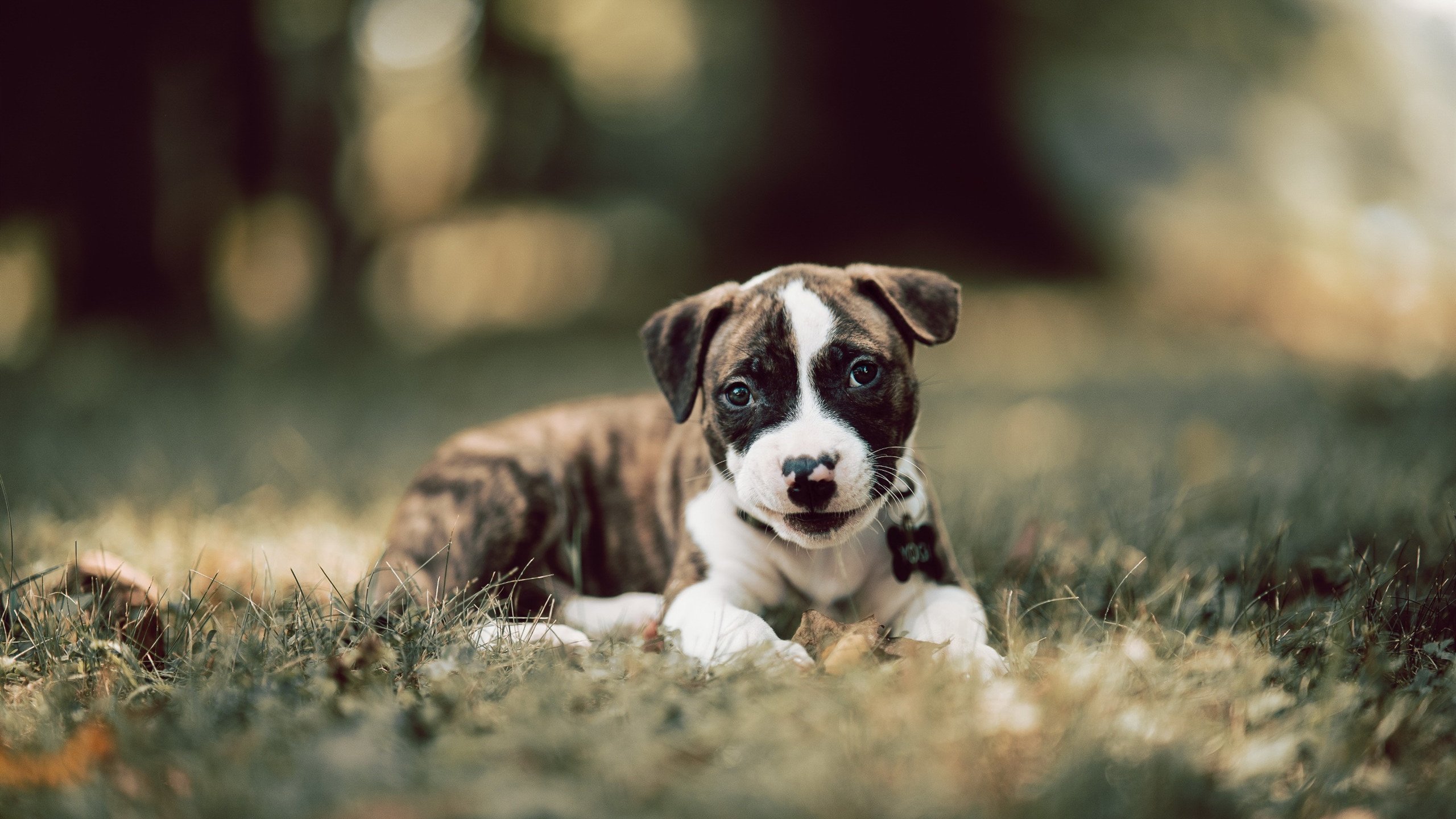 足球科技展在上海成功举行,足球展厅