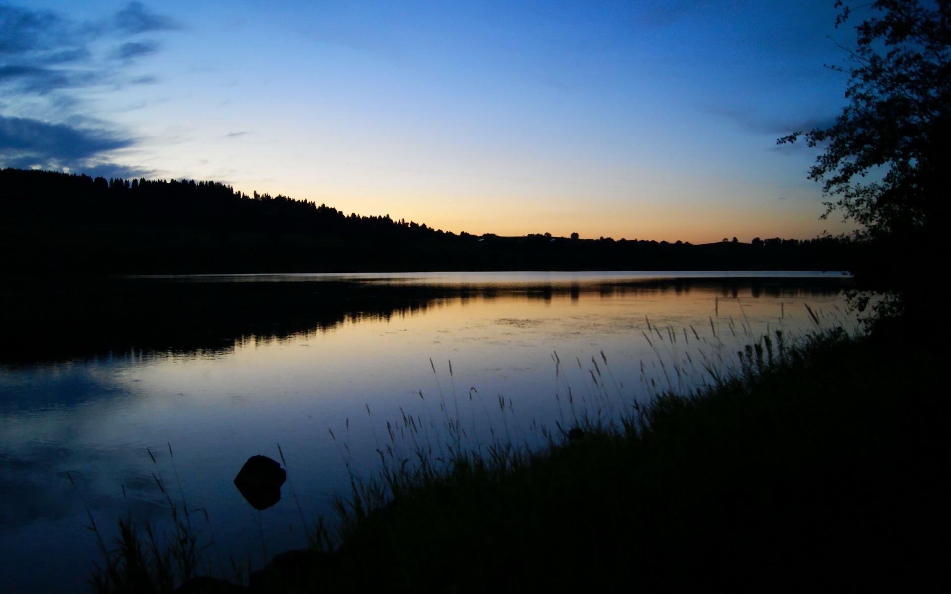 欧国联比赛:阿尔及利亚队连胜阿曼队,阿尔及利亚足球