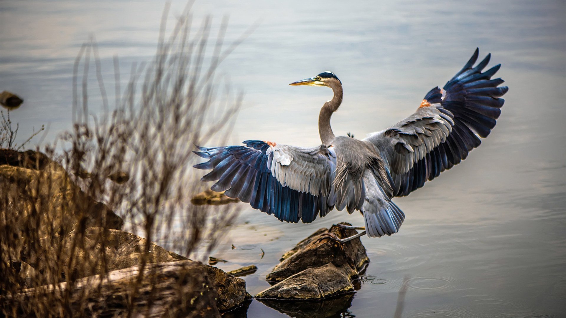 电竞游戏角色平衡调整对职业比赛策略的影响分析,角色平衡是什么意思