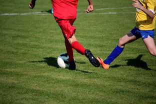 爱游戏官方网站-世界男子排球联赛意大利主场折桂，意大利男子排球联赛直播