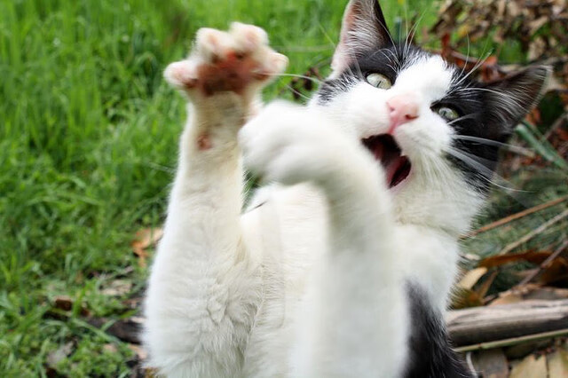 中超球队边路推进节奏分析报告,足球边路进攻战术视频