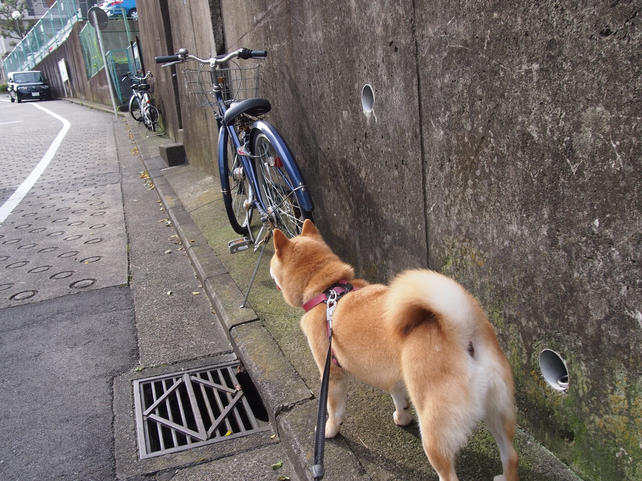 德甲青训中心引入视觉-运动协调测试评价空间感知能力,德甲青训政策