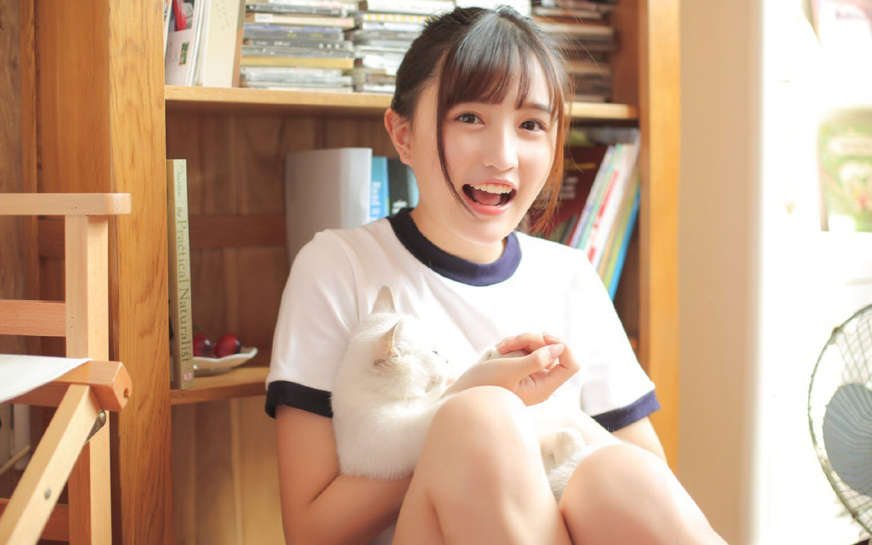 篮球运动员技能动作动作标准制定及培训研究,篮球运动员技能动作动作标准制定及培训研究论文