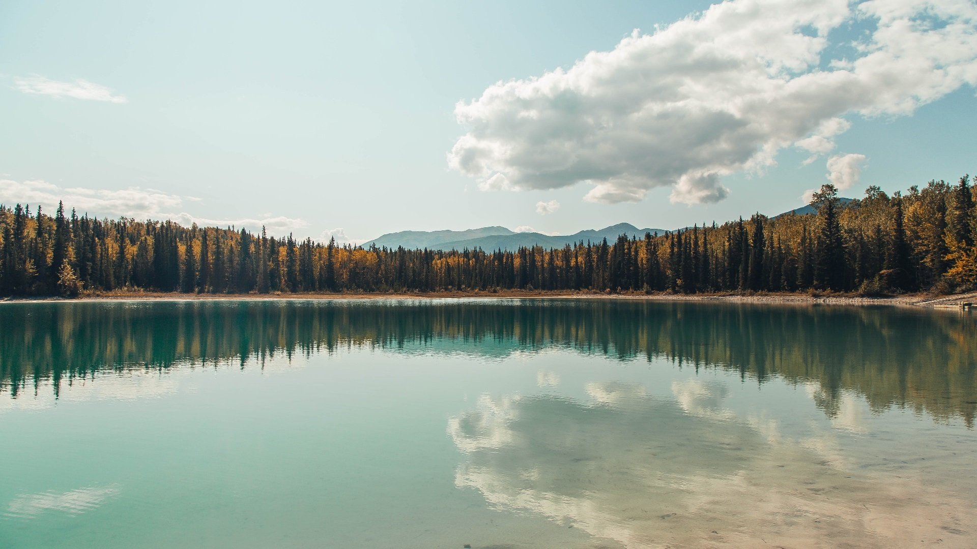 “六人制袋棍球:成都七中东部赛场突破传统运动限制”