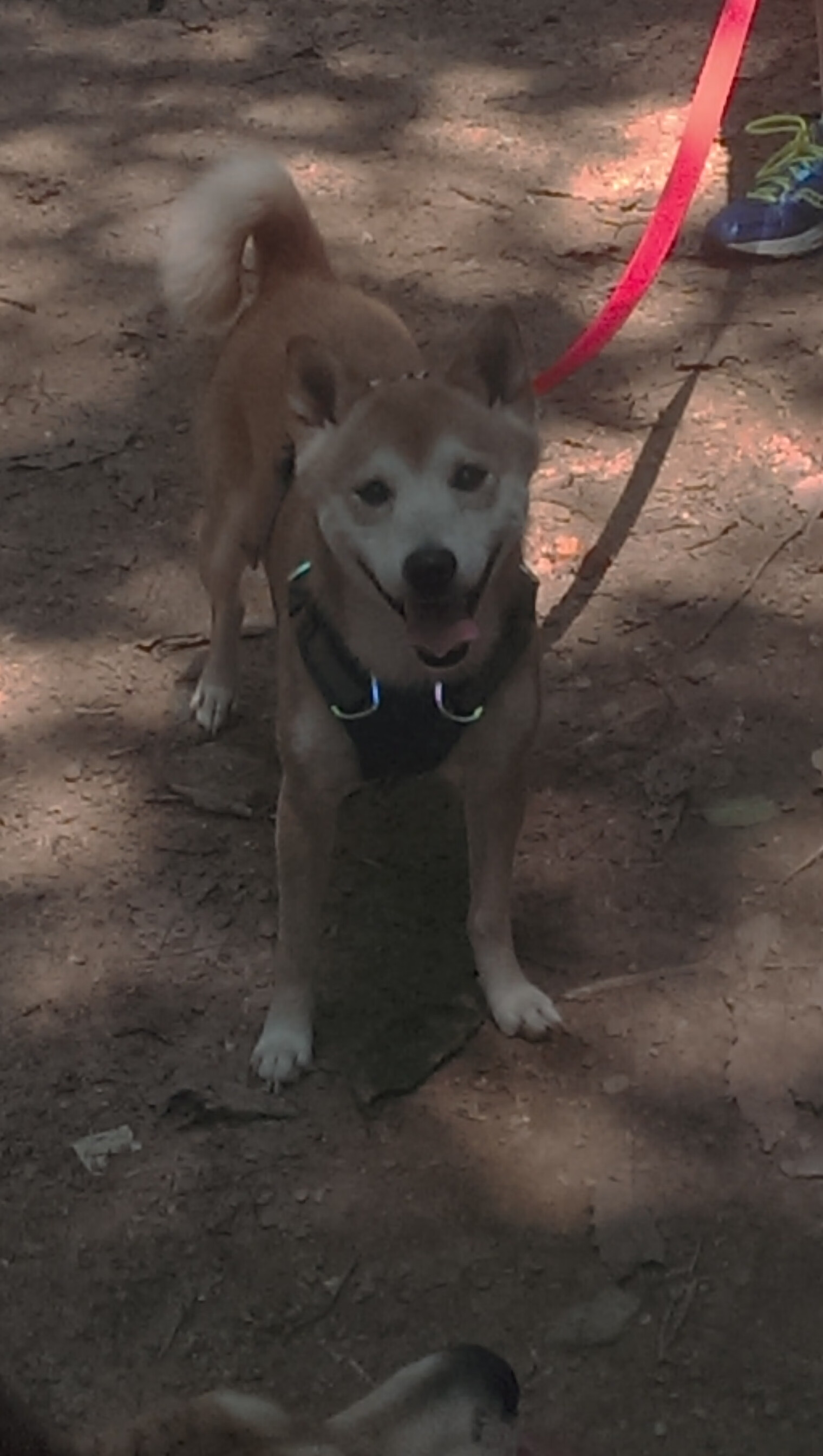 AYX体育-体育新闻中心启动体育数字人才培养专项计划，体育数字化改革方案