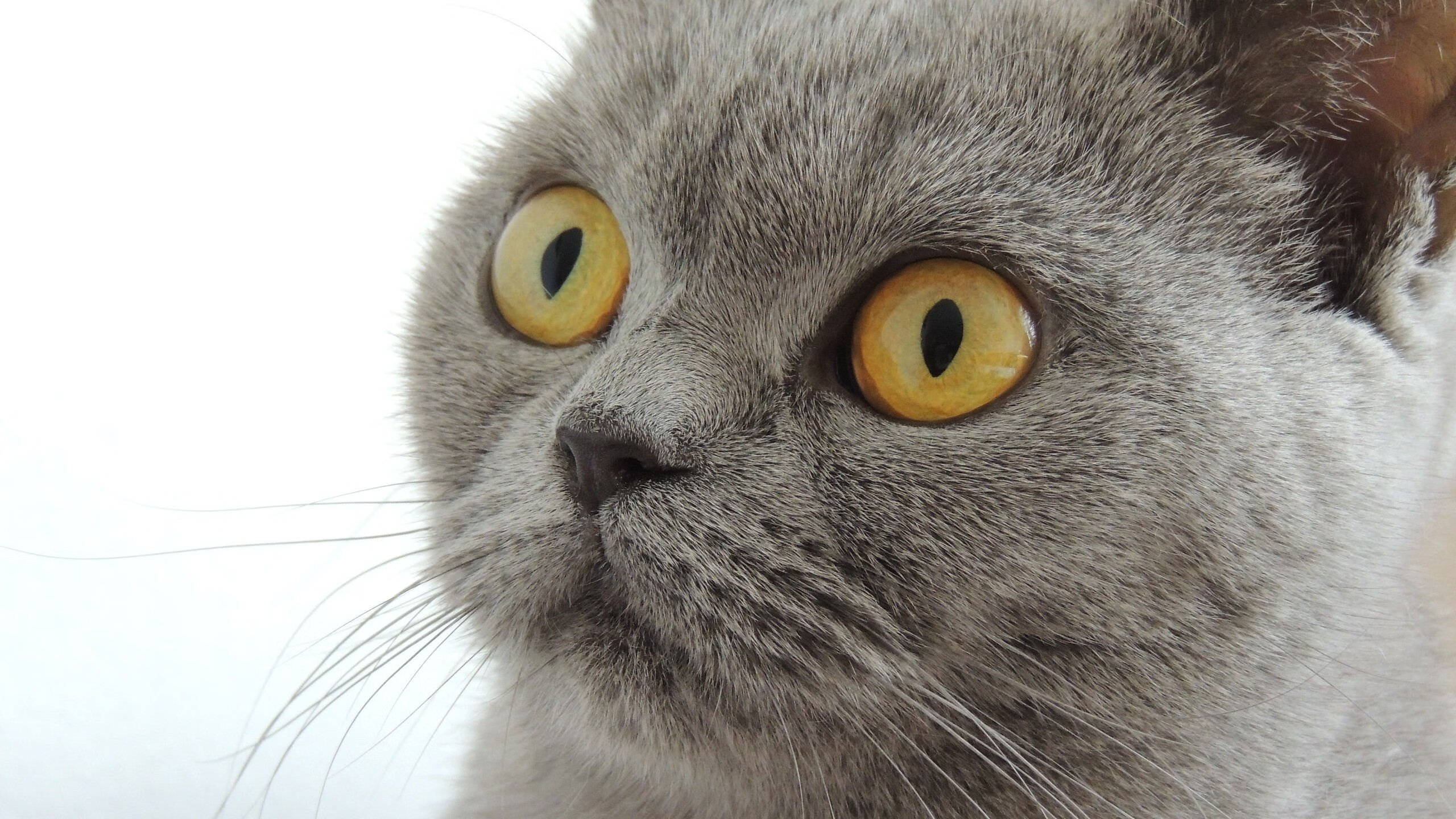 技术动作精细度提升,成绩有保障,提高精细动作