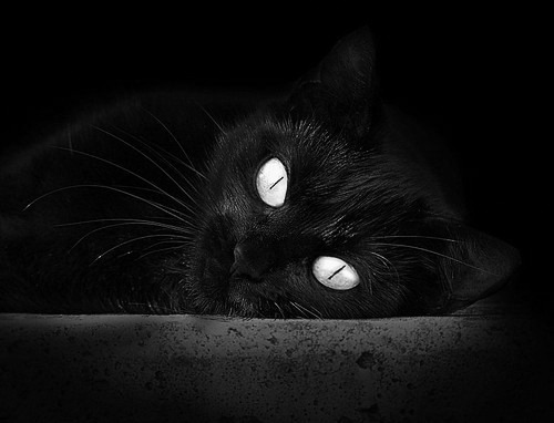 爱游戏下载-杨瀚森入选全明星赛球迷投票领先，杨瀚森身高