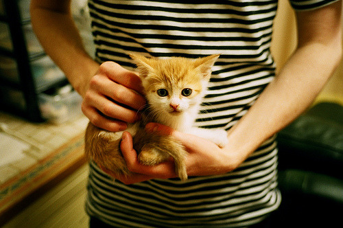 爱游戏下载-勇士训练后全队合唱放松情绪，勇士队音乐