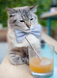 爱游戏在线登录入口-莱谢恩·卡萨斯男子200米个人混合泳表现抢眼