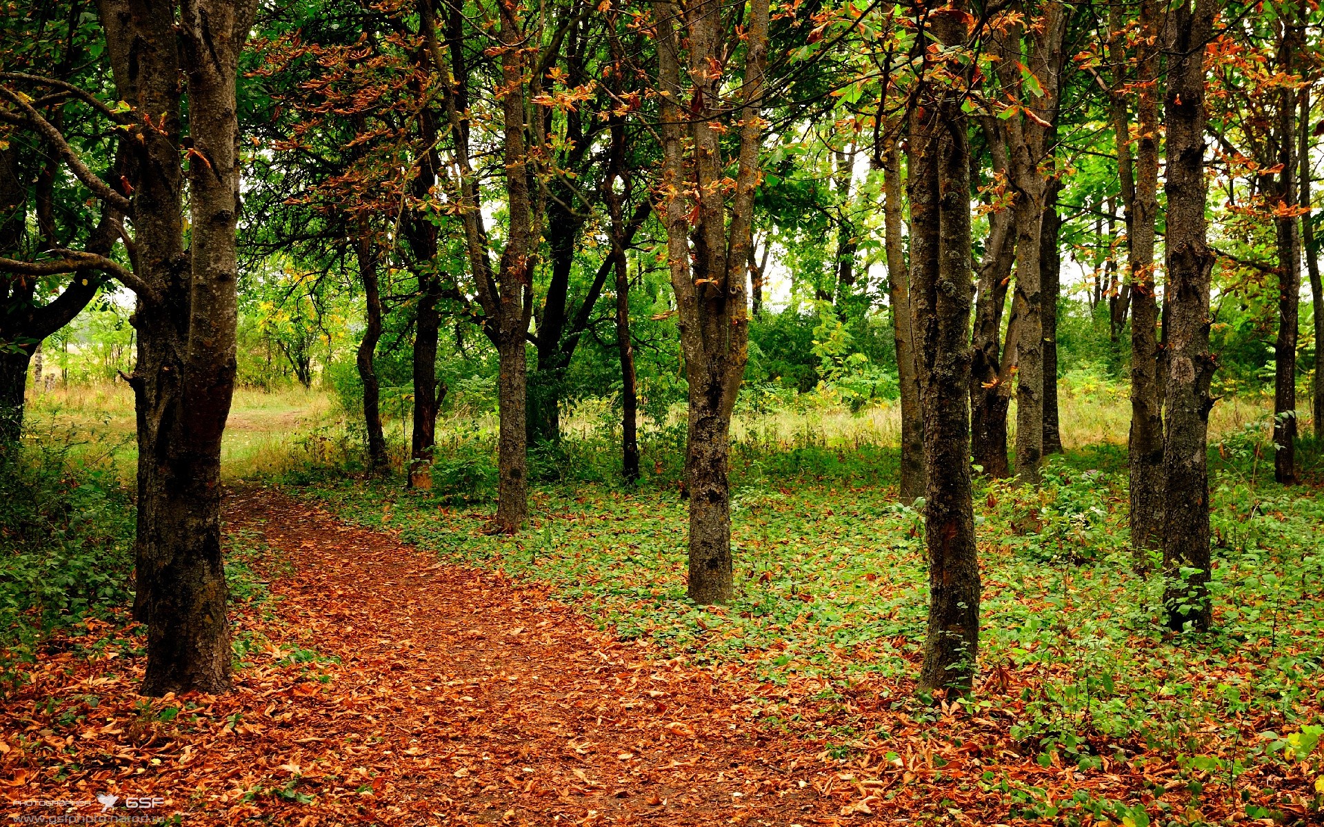 爱游戏在线登录入口-起跳反应快 覃海洋把握先机