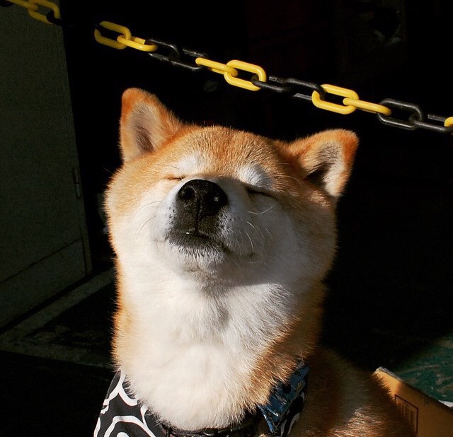 青少年篮球赛事开展反兴奋剂知识普及教育，青少年反兴奋剂考核